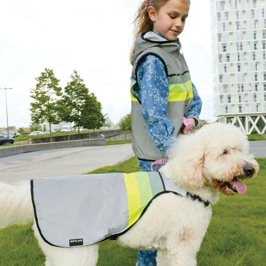 Moonlight - Grey reflective (hond)
